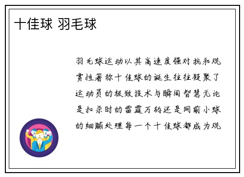 十佳球 羽毛球